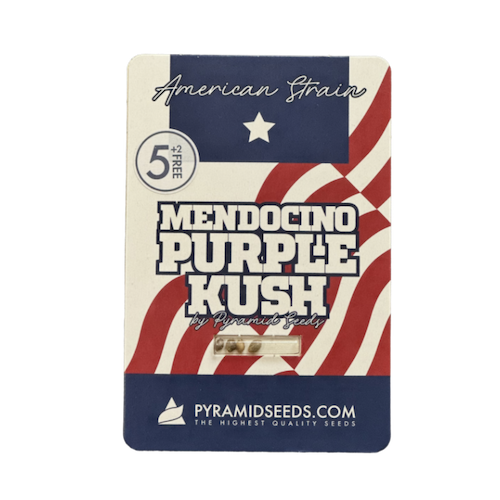 Variedad de cannabis Mendocino Purple Kush de Pyramid Seeds